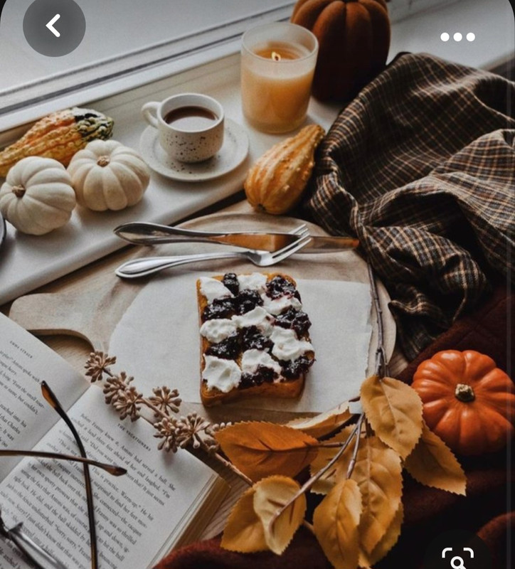 Screenshot_20231031_215216_Pinterest