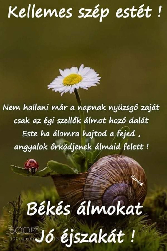 received_379232127088279