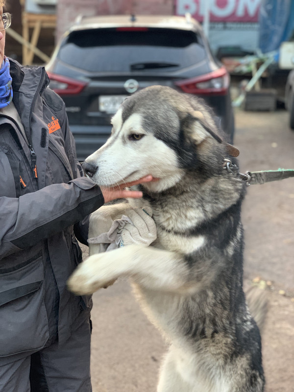 437C1947-D529-46AE-92E7-A235F627ACDF