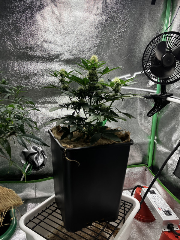 838B2341-4BC9-49FD-8F85-F73CE45F6F51