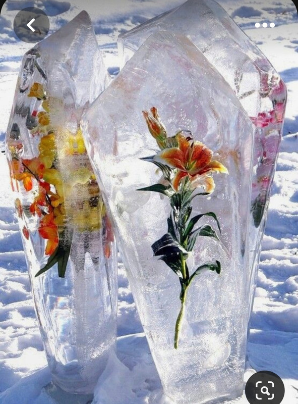 Screenshot_20230515_230833_Pinterest