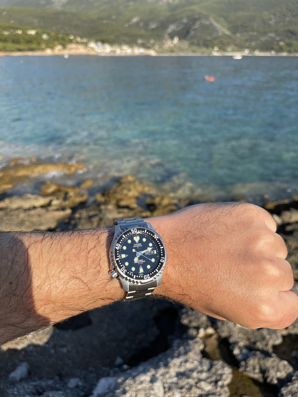 15E4349B-349D-4267-A99F-C34B4B29D69A