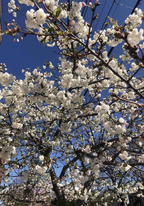 8D85019E-240D-4AB7-AF0E-FA9F6CCCA997