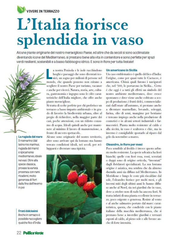 Pol Ver Lug 2024 (7)