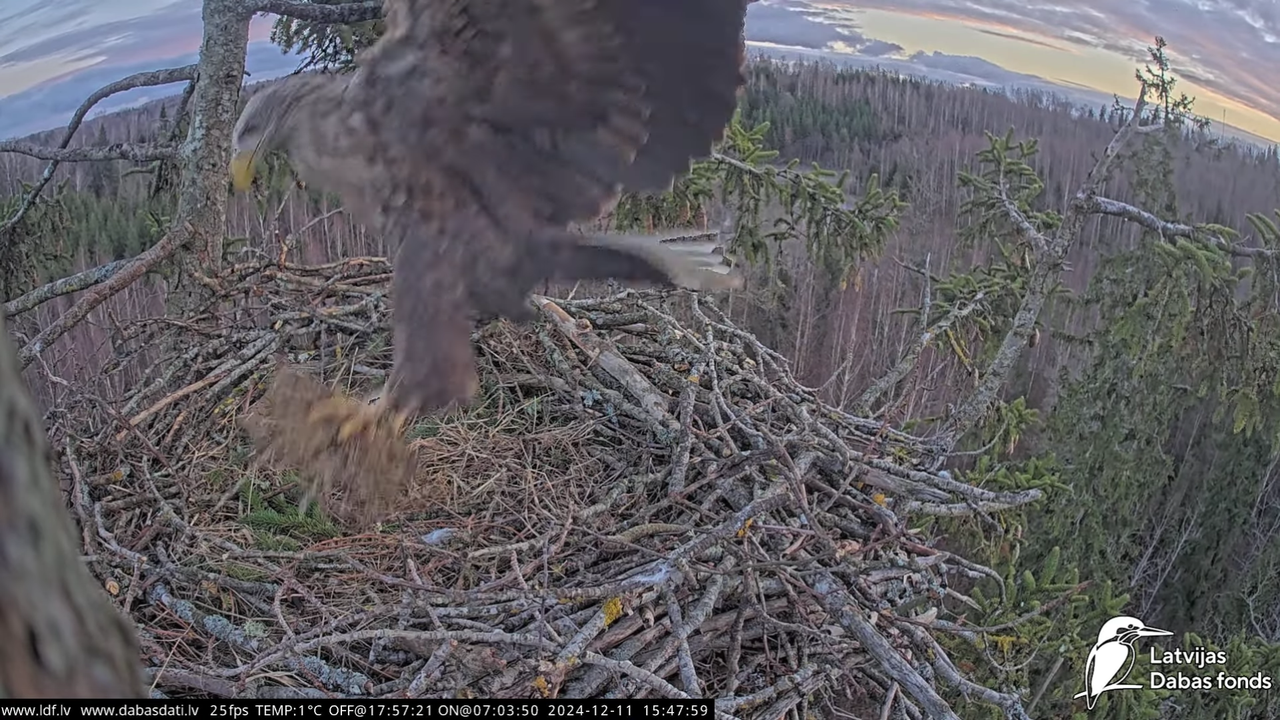 Screenshot (113545) - Copy