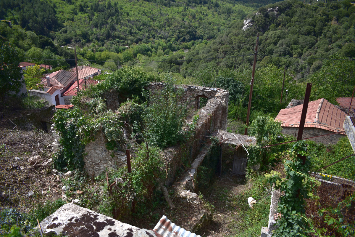 Βαμβακού (14)