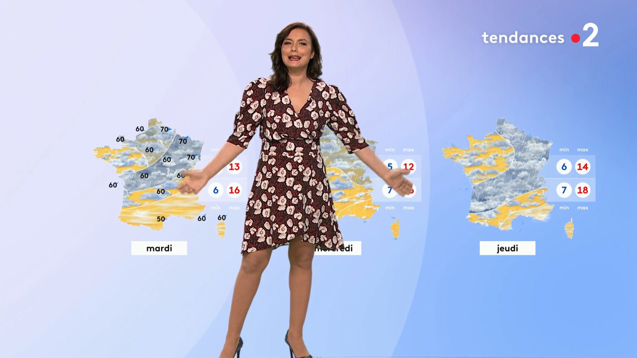 2021-05-01_12_55_Fr2_Meteo.mp4_snapshot_08.09.403