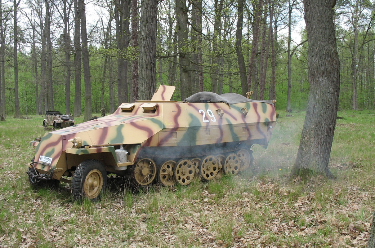SdKfz251RosiMR200802