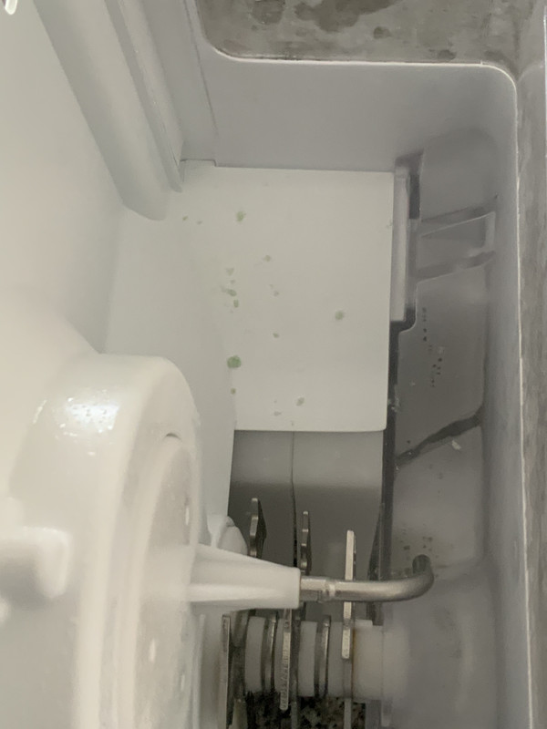 Whirlpool Refrigerator Stopped Working Then Started Again at Leandra