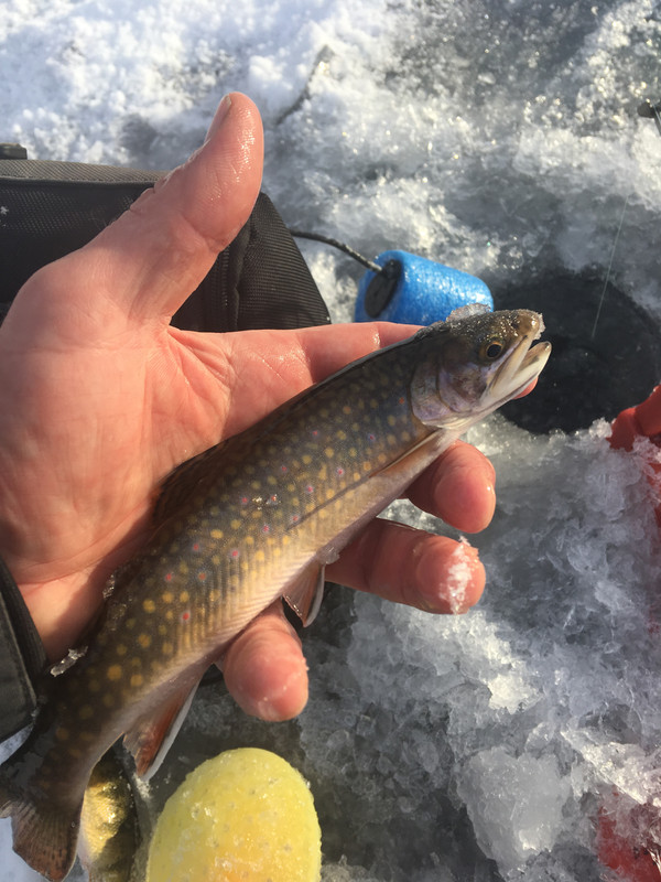 B0F43FC8-28B3-4299-AB01-ACC827CBAB03