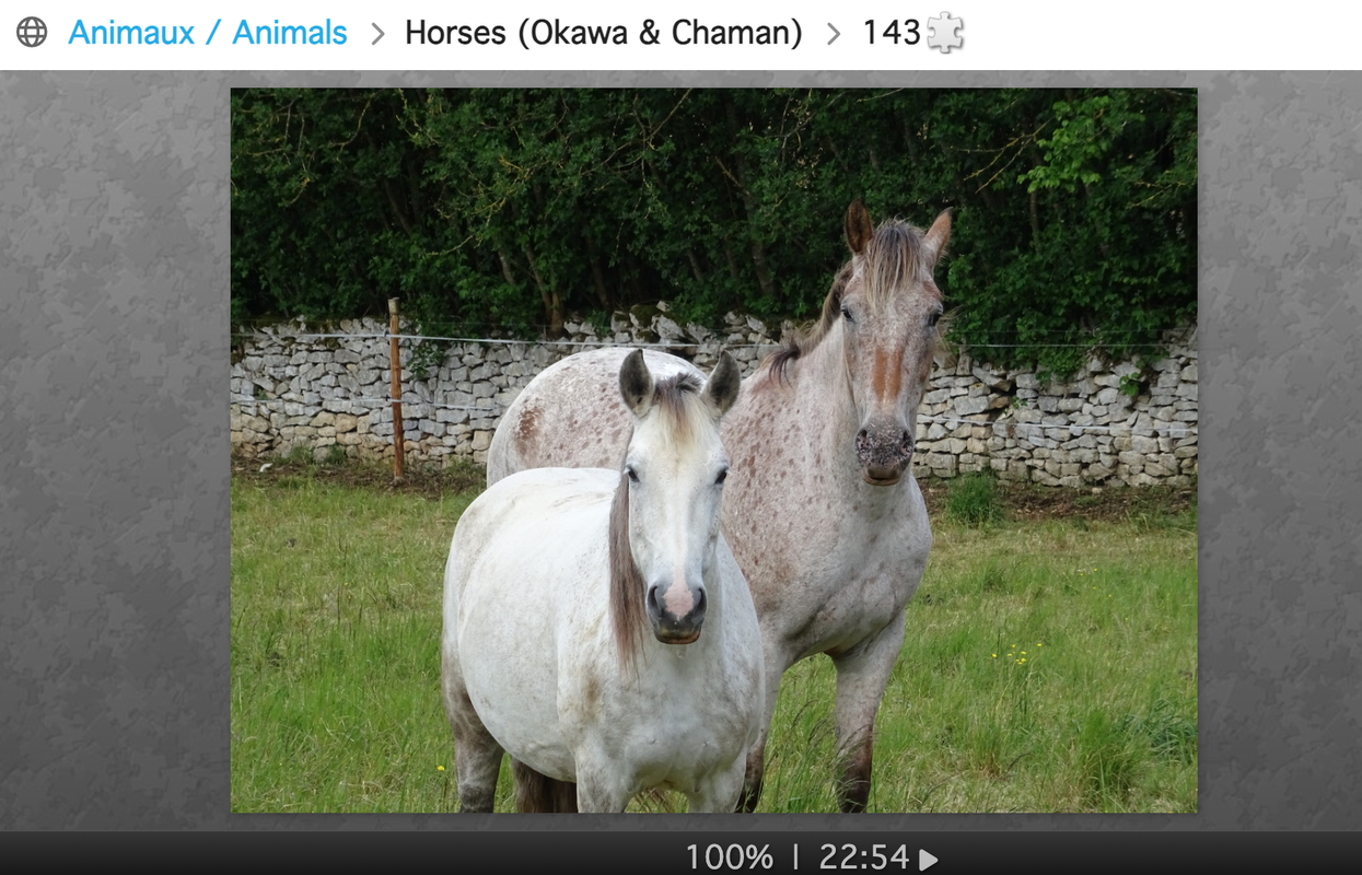 Screenshot 2024-03-16 at 10.27.54