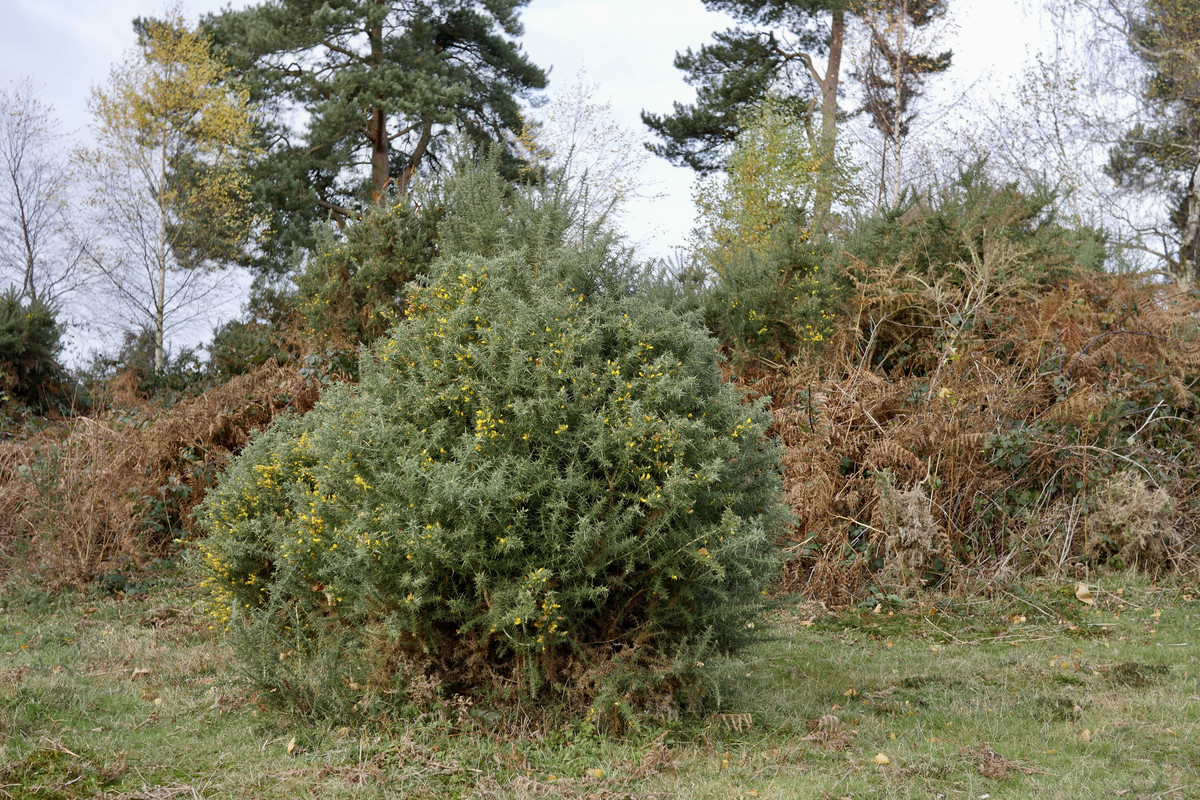 B16703BB-1B54-41EE-BFFF-FA187AFBCBB6