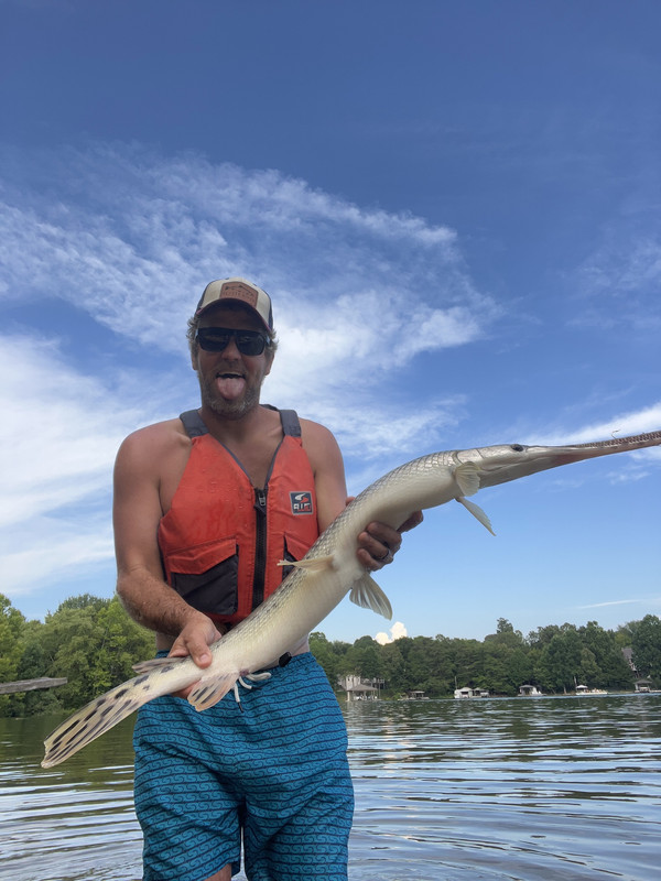Catching Long Nose Gar with Live bait - Other Fish Species - Bass Fishing  Forums
