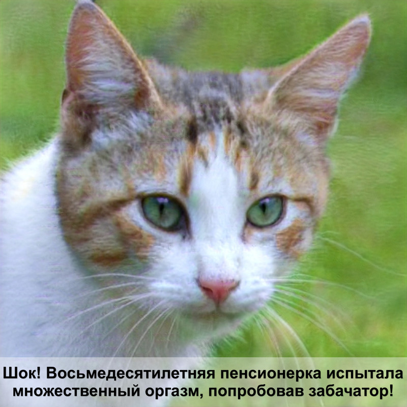 лежанка для кота своими руками