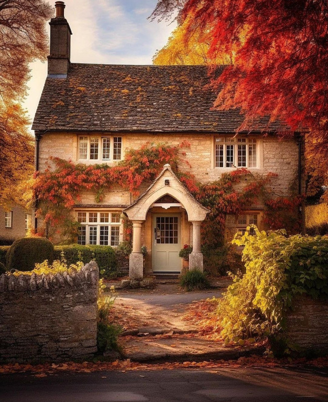 Screenshot_20231112_201216_Instagram