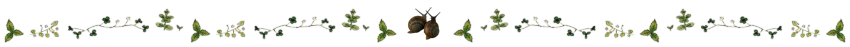 div