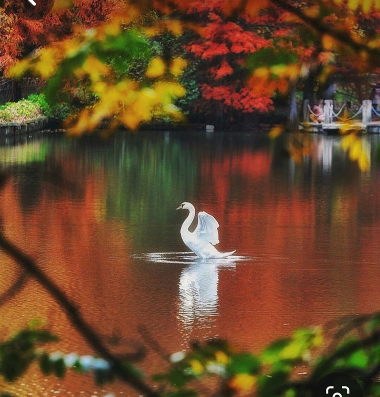 Screenshot_20240404_220801_Pinterest