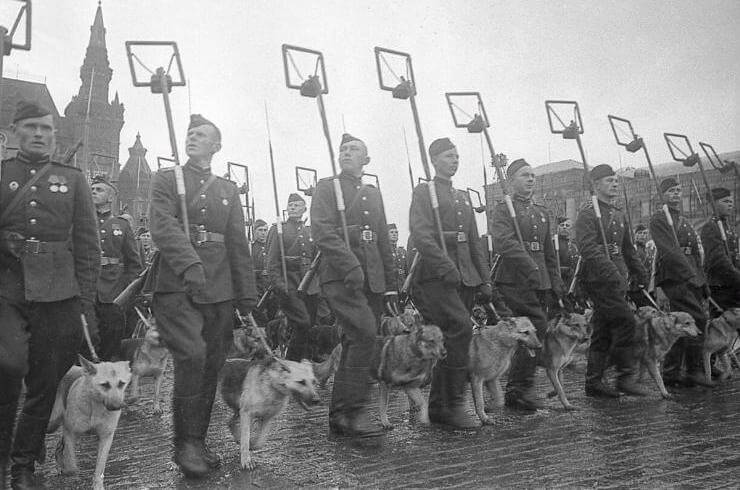 Интересные и курьёзные факты о мировых войнах Интересные и курьёзные факты о мировых войнах
