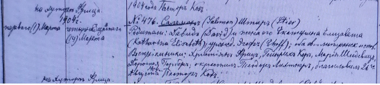 Stier Solomon