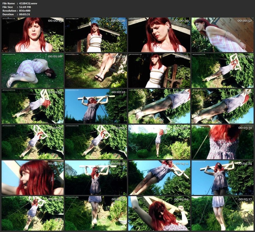 432B432.wmv