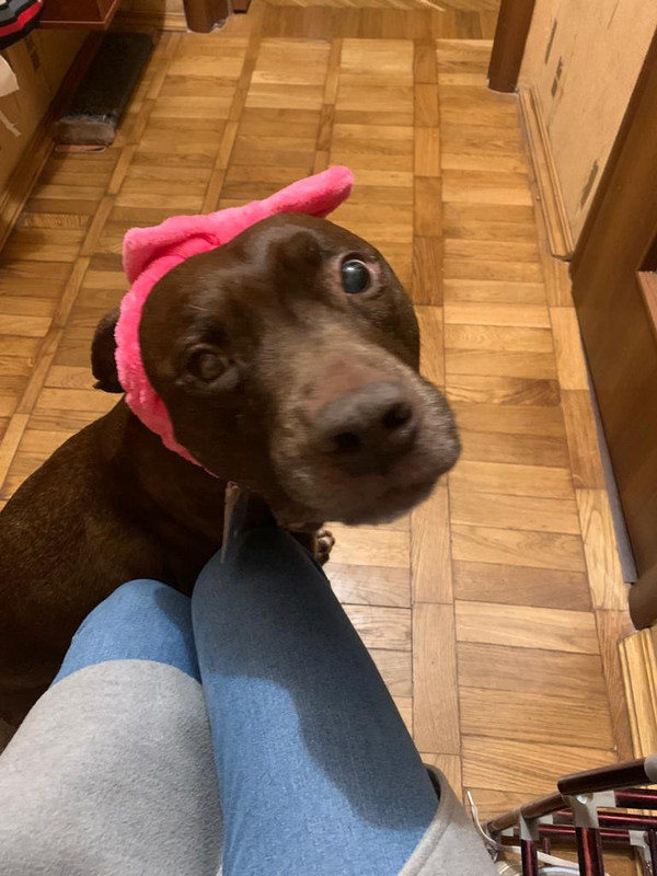 D3080F19-3755-455C-9F9D-C1F244D9D9DC