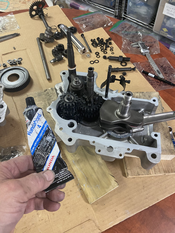 D5237D66-0402-4DC0-96D9-35B4C54EC55F