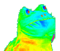get-out-frog-rainbow.gif