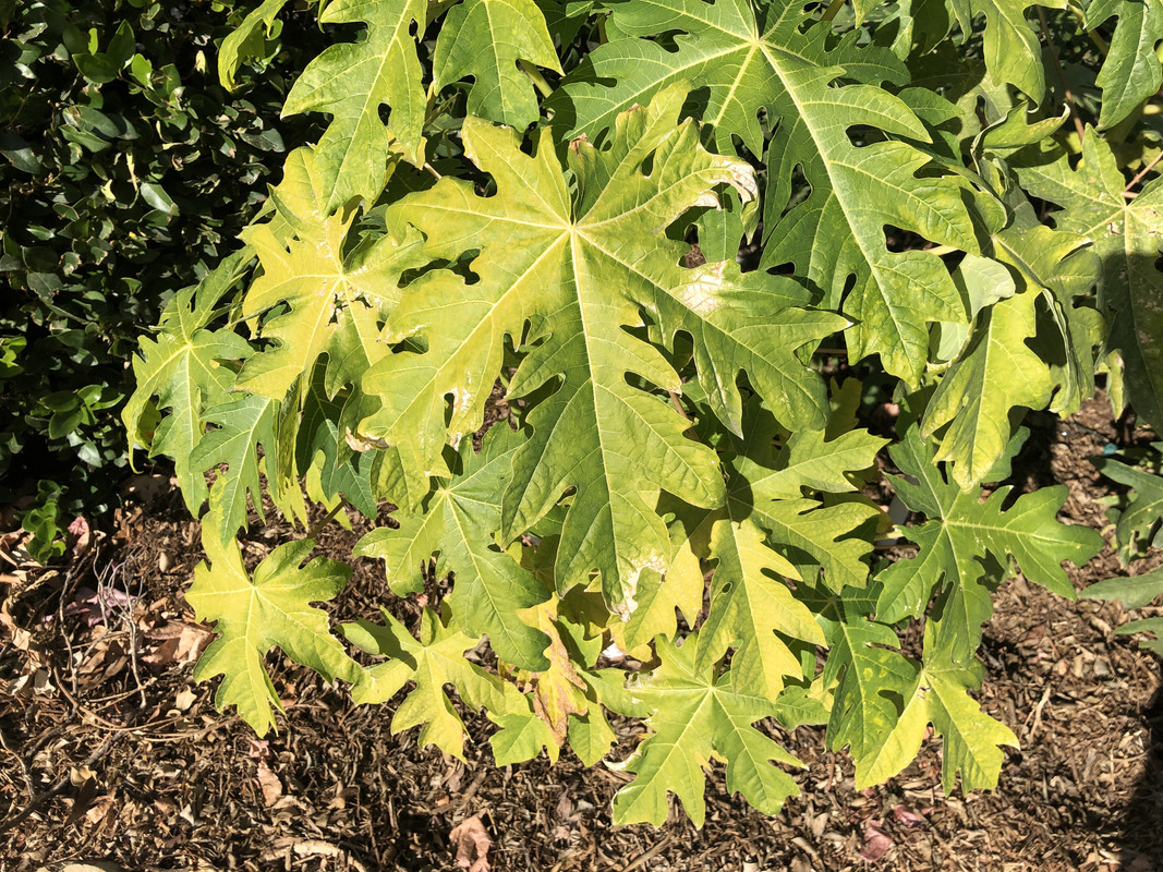 24AE6EEF-3BEB-48B4-A235-D251CFAB5877