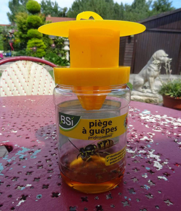 GUEPES - 2