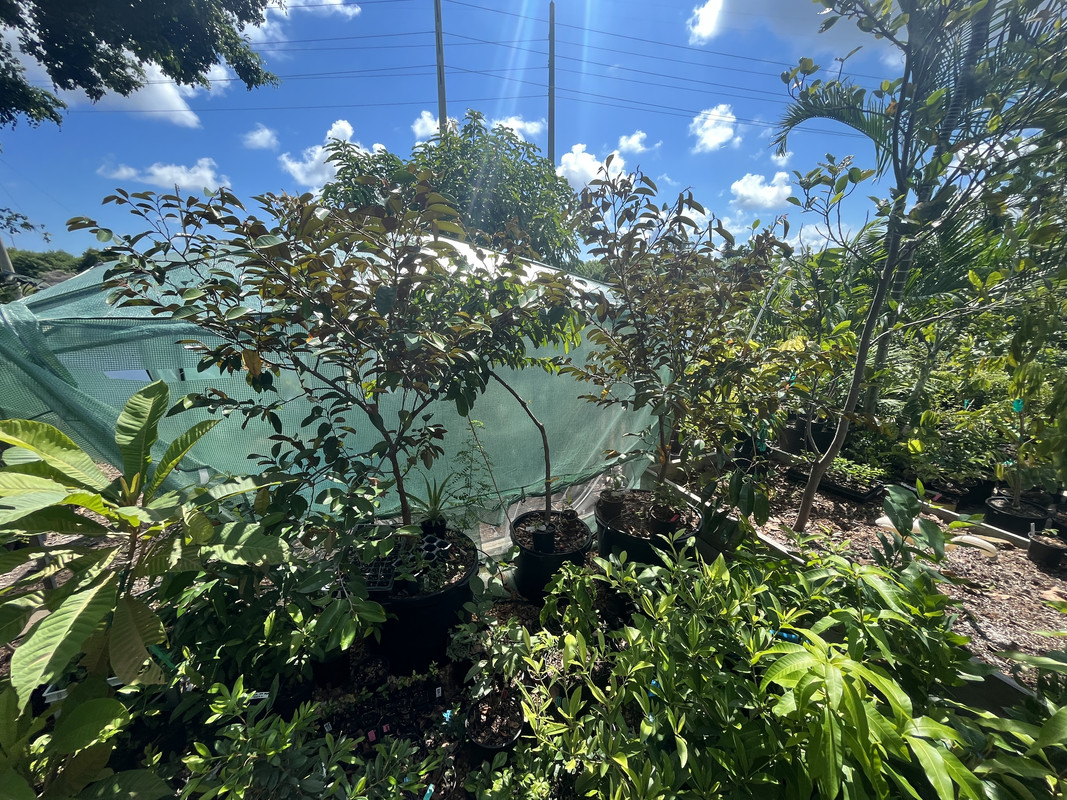 7DA6FD68-CE3C-4E42-B0F5-4A062267D760