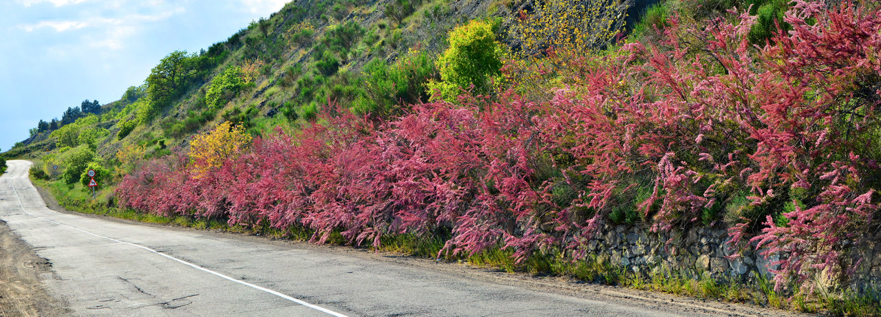 [Group 105+-DSC_1145_DSC_1147-3 images