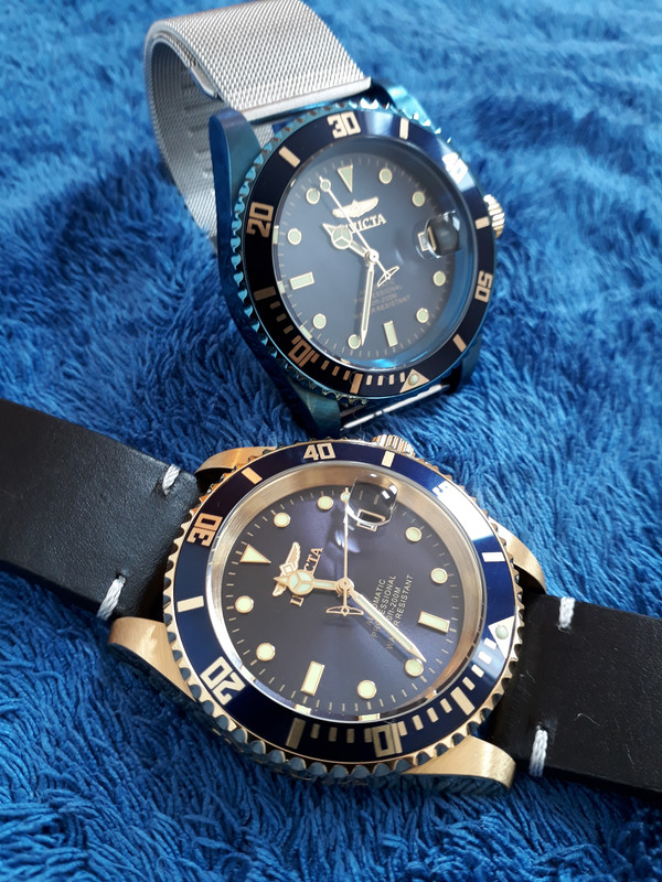 Dorado 42  y Azul