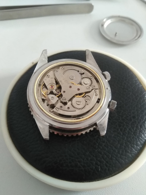 68430633_951223838559085_2370221661287874560_n