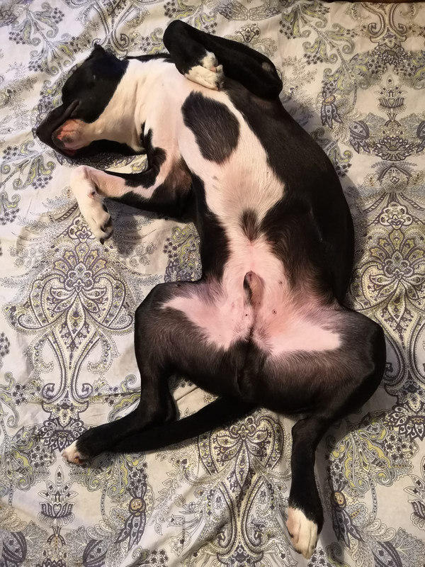 14B427E6-4034-4BFB-ADDA-D46DBE184606