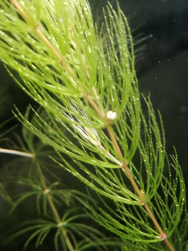 изображение_viber_2020-12-29_19-19-56 (1)