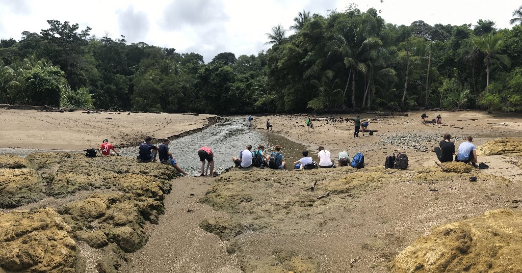 DIA 13: EXCURSIÓN DE UN DÍA A CORCOVADO - DE TORTUGAS Y PEREZOSOS. COSTA RICA 2019 (29)