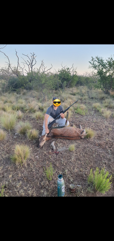 Screenshot_20231126_185305_Gallery