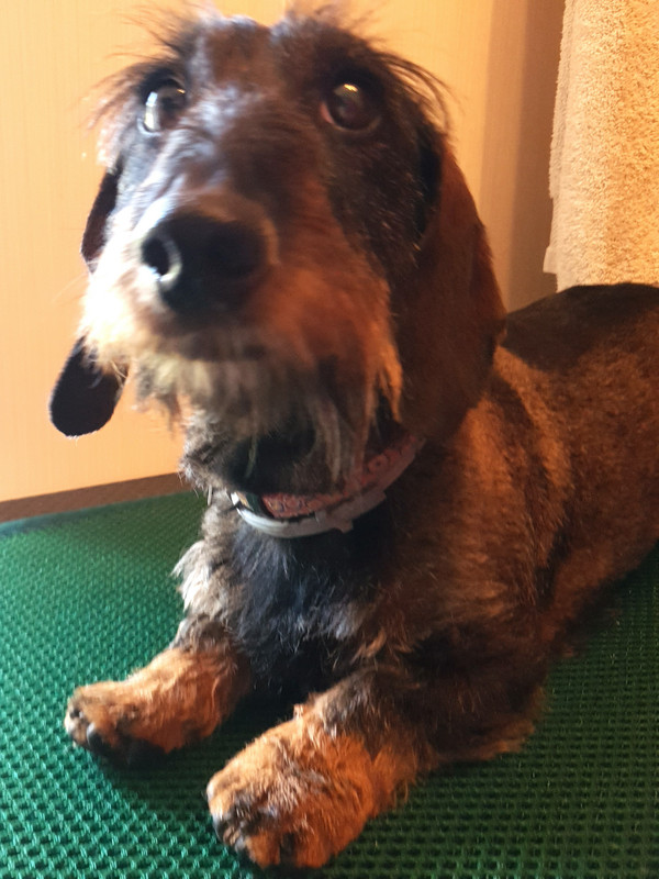 [Image: 20210727-213408.jpg]