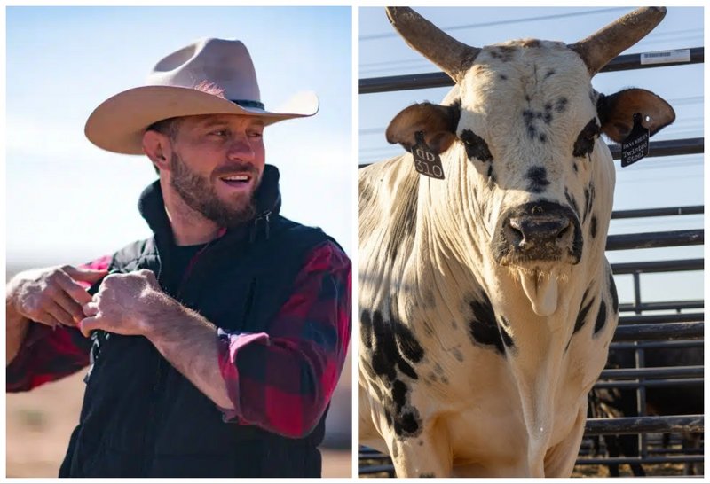 Доналд Серони се изправя срещу бикът на Дейна Уайт