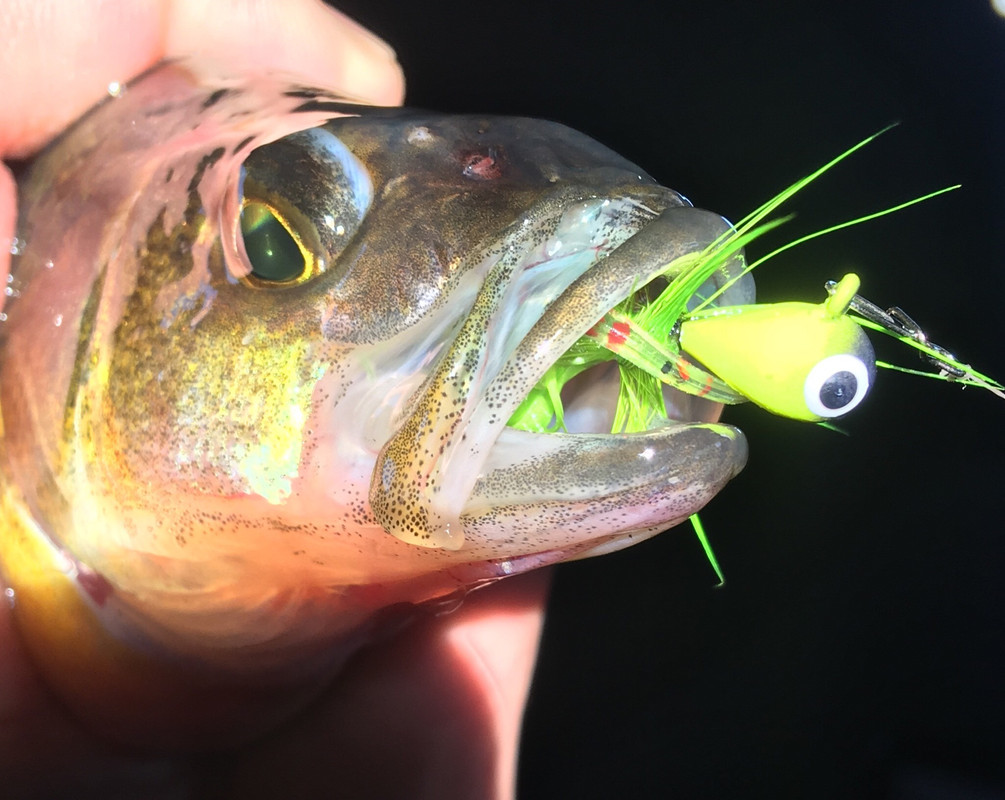 BC36FB2E-533C-40F6-8F44-C78216FADFB8