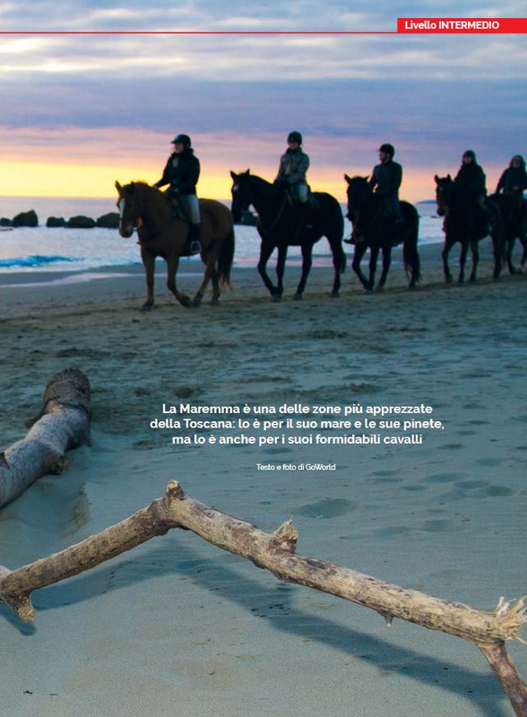 Il Mio Cav (Apr 2023) 8