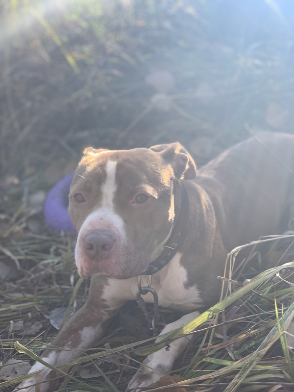 9F31915E-11EB-4258-B1AD-4DF635D1E2B4