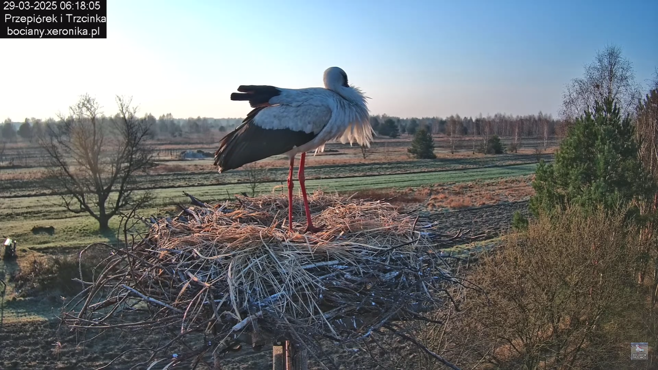 29032025porannezamieszanie_33