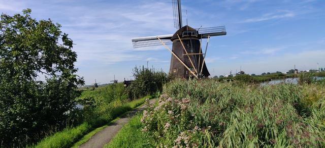 Quinto y último día: Kinderdijk y Rotterdam - Road Trip Holanda con niños (2)