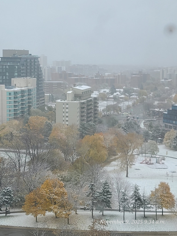 [Image: 20251109-093437.jpg]