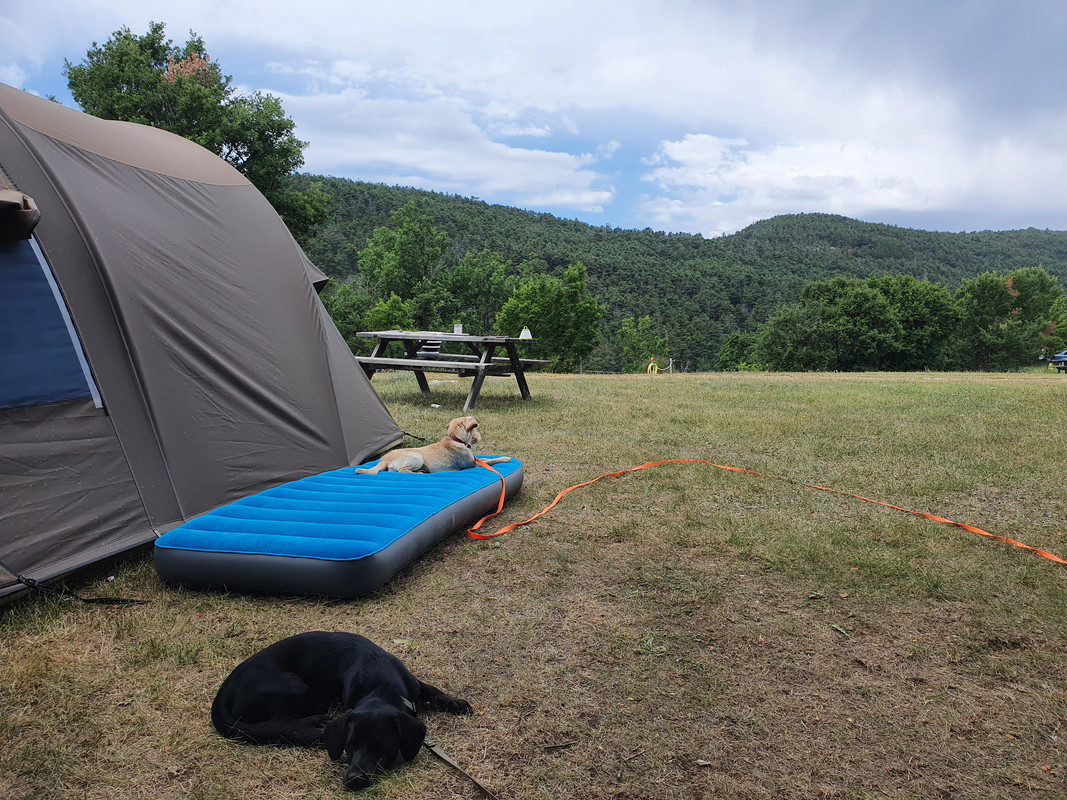 16276352383255067691585538217974