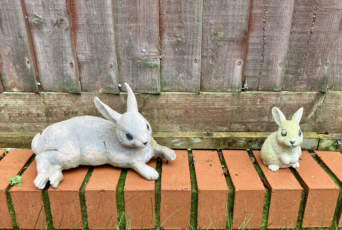 913B52E2-1890-4405-89C3-C2E6B089745B