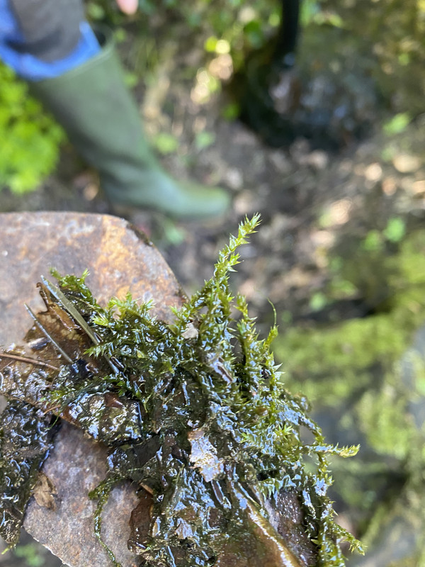 8435F815-A9CE-4761-BC03-B37DECFAF336