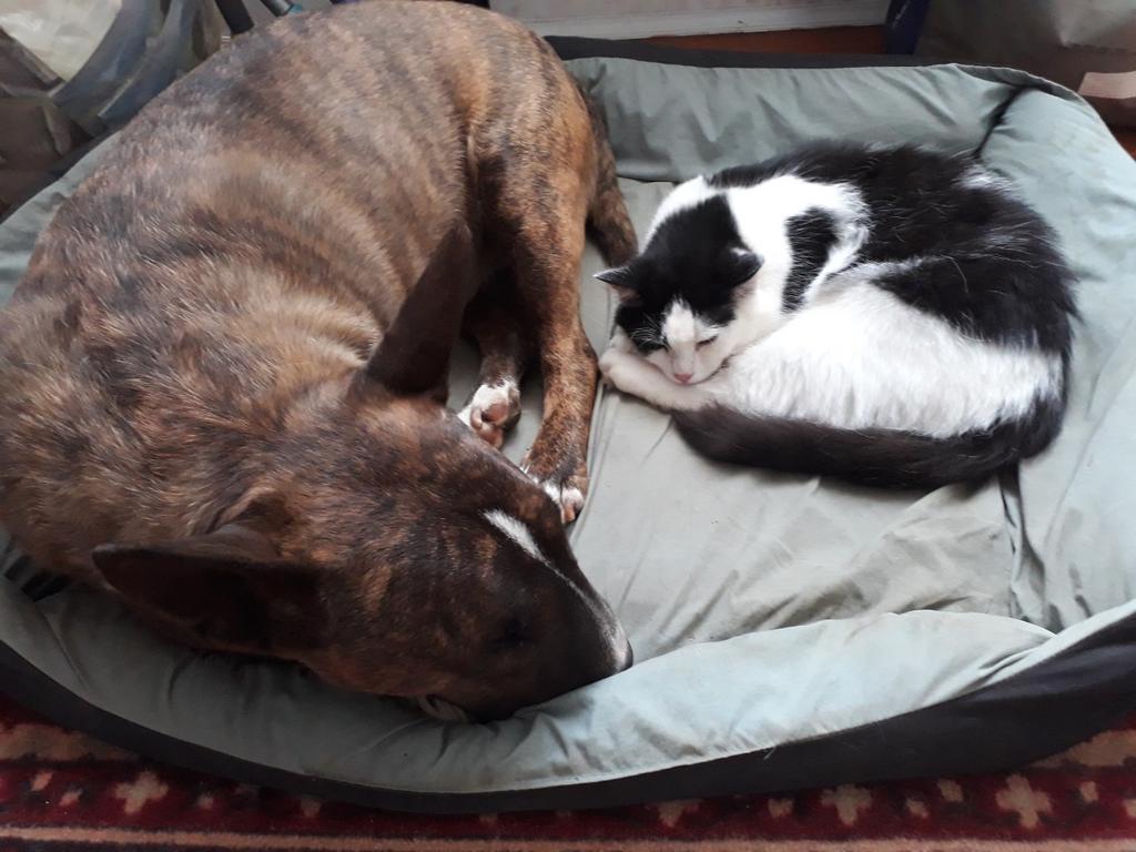 изображение_viber_2019-07-13_18-01-33