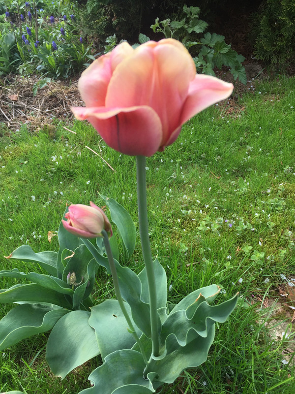 2742CA4F-0660-4AC8-9259-E32B8CF81E93